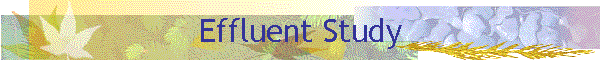Effluent Study